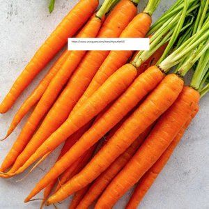 Imperator Carrot Seeds - Vegetable Seeds - BOGO